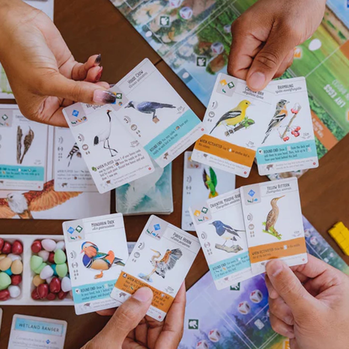 Wingspan: Asia (Standalone Expansion)